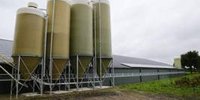 Already 22 acquisitions in the animal feed industry | Pluimveeweb.nl - News for poultry farmers