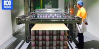 Dairy plant Viplus cuts 31 jobs at Toora -  News