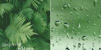 Tropical rain enclosed in glass -