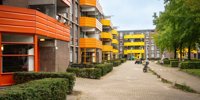 Logchies adds color to a colorful neighborhood •