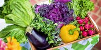 Nutrition center: PAN exaggerates poison danger