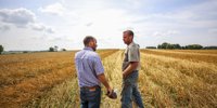 Midwest oat growers want a renaissance, but it will be hard without Big Ag -