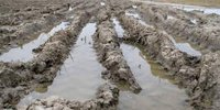 Van Meir: 'Investing in soil more important than in machines' | Akkerwijzer.nl - News and knowledge for arable farmers