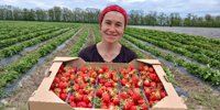 A farmer from Kyiv region launched a berry freezing line with a grant –