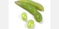 Workshop 'Impressive Soybean': 13 June 2023