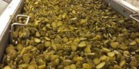 Corona crisis hits Kroon Food hard: turnover halves in peak months, uncertainty about labor migrants