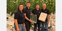 First lit Dutch cucumbers available again