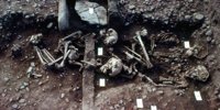 Rare find: Mass grave may belong to Viking Great Army |