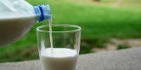 Farm Dairy joins forces with Veco Zuivel - Melkveebedrijf.nl