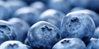 BerryWorld and Tropic Cool team up for new Rwanda venture | Article |