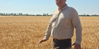 Dacian Sabău passionate about ecological agriculture - Transilvania Business - your source of economic information