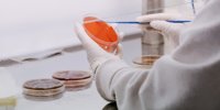 Corteva invests funds in Symbiomics projects