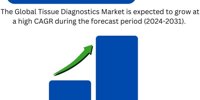 Recycled Plastic Market will attempt to create new growth opportunities, based on the forecast for 2024-2031 - Covetsro AG, REMONDIS SE & Co. KG & Biffa.
