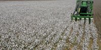 How Cotton Inc., Truterra Initiative Aims to Advance Sustainable Farming