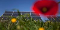 Renantis launches a lending crowdfunding campaign for the Galatone photovoltaic park
