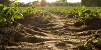 Corteva (CTVA): builds the new generation of agriculture -