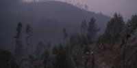 Portugal: in the Castro Daire region, plunged into an ash fog