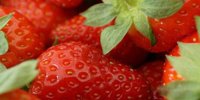 News from the week beginning 2nd June 2025 -