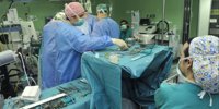 They discover a molecule in the intestine that causes atherosclerosis, which is behind heart attacks and stroke