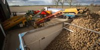 Aviko increases flake contract price from €30 to €48 per ton - Farm