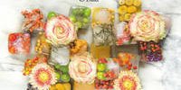 Tulip Trade Event works together with War Child